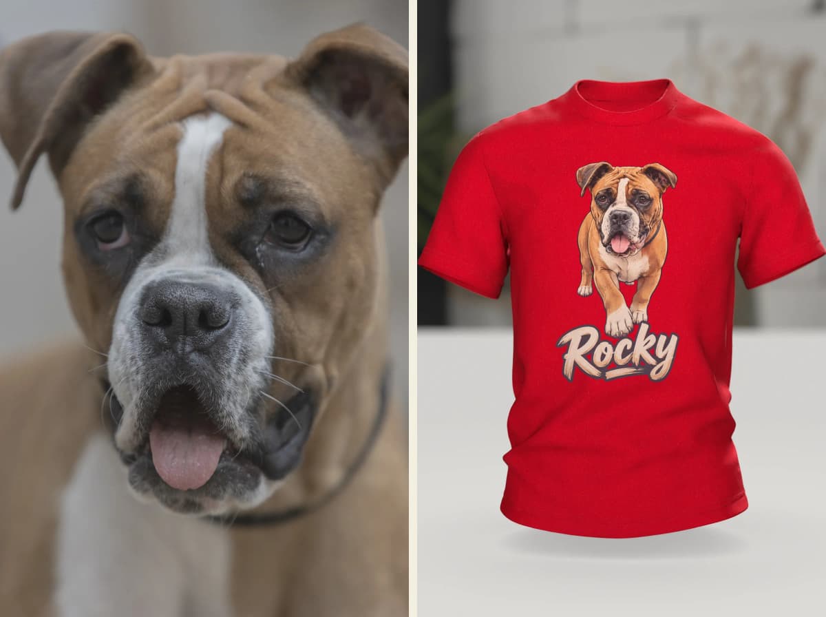 Left: a photo of a boxer with a white blaze. Right: a red T-shirt with the boxer drawn from it and the lettering Rocky