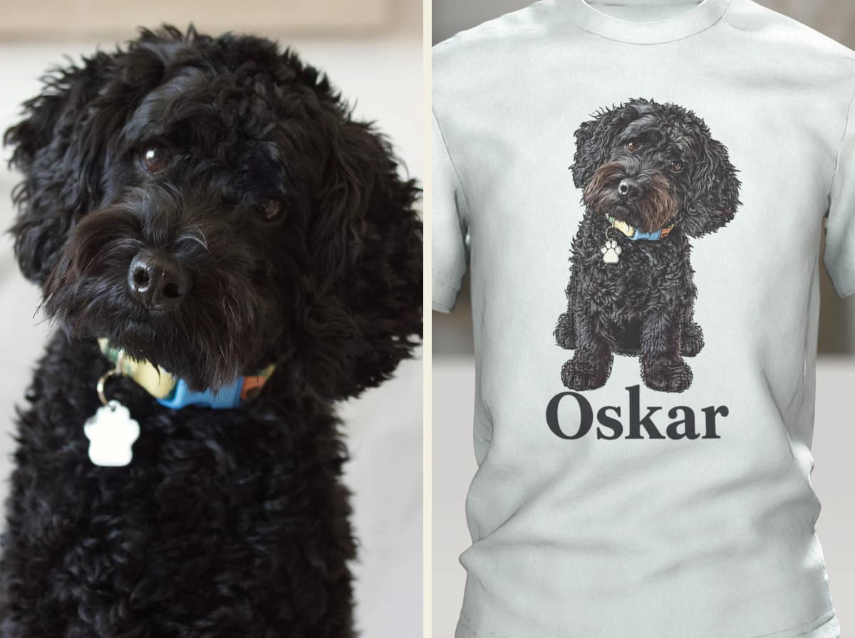 Links das Foto eines schwarzen Lockenhunds mit blauem Halsband und Pfotenmarke, rechts ein helles T-Shirt, auf dem derselbe Hund als Zeichnung sitzt, darunter der Name Oskar